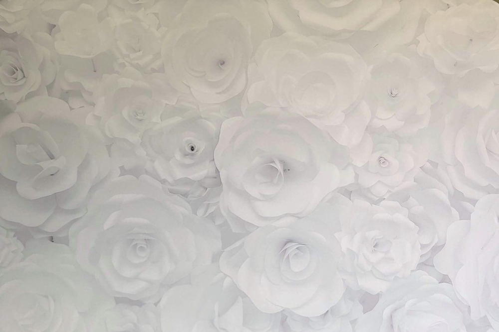 Specialty Backdrop 08