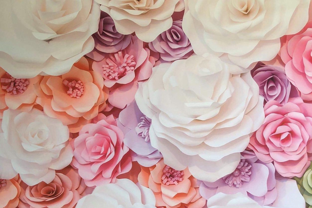 Specialty Backdrop 10